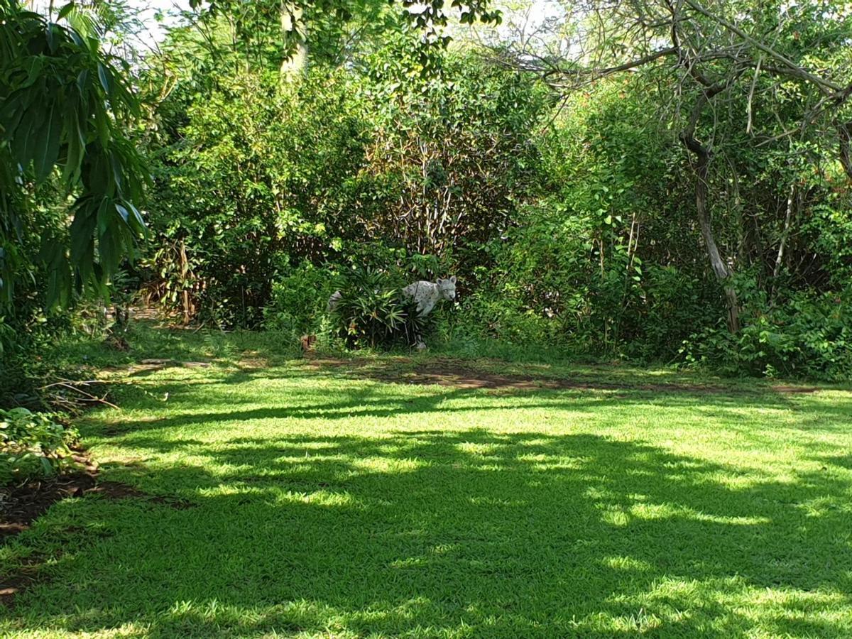 Kruger Allo B&B Komatipoort Bagian luar foto